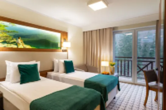 Hotel Verde Montana Wellness & Spa Hotels in Klodzko County