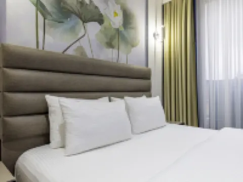 Dem Premium Hotel - Round Trip Airport Service - Istanbul International Airport Hotels in Istanbul