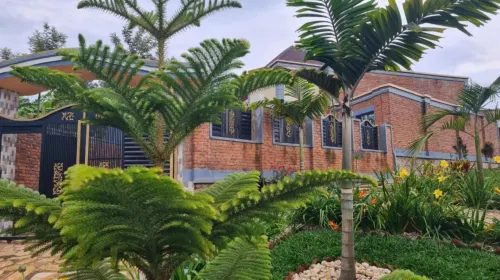 Room in Guest Room - Charming Room in Kayove, Rwanda - Your Perfect Getaway Hotels in Rutsiro