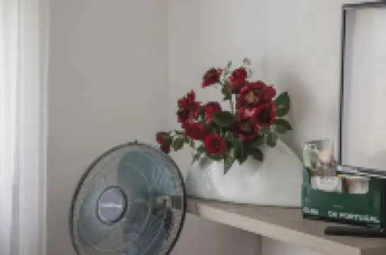 Apartamento À Francos Gyn Lovers