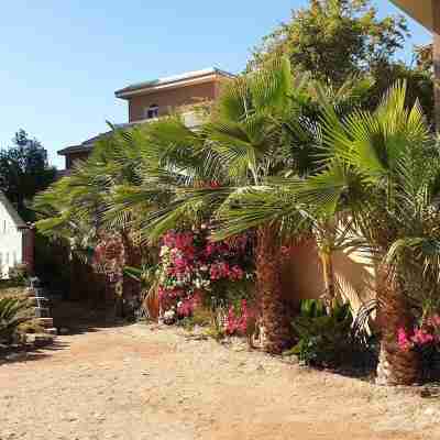 SeaView Turtles Hotel Exterior