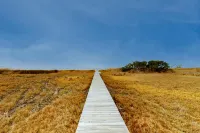Osprey Landing  #1-F