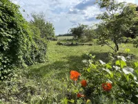 Former farmhouse with artistic ambience, sauna and whirlpool