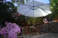 A Vacation That Becomes a Dream