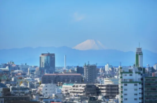 ฟูจิ โนะ มา