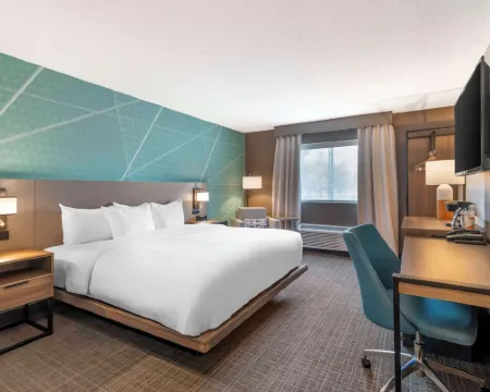 舒適酒店及套房-薩拉託加斯普林斯 薩拉託加縣酒店