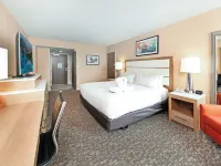 DoubleTree by Hilton Virginia Beach Hotels near Owl Creek