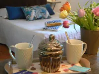 劉易斯布蘭克中央村公寓飯店 勒芒住宿飯店