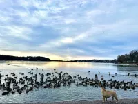 Edsviken Hotell AB Hotels in Sollentuna