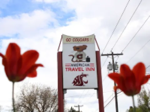 American Travel Inn Hotels in Pullman