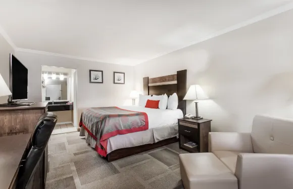 温德姆戴斯酒店-威爾明頓/布蘭迪萬