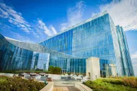 Ocean Resort Casino Hotels in Atlantic City