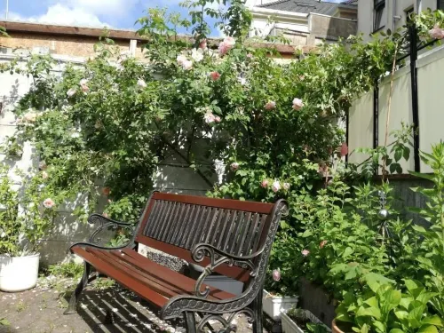 Pension Carmen Hotels in Bad Honningen