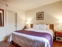 Hotel St-Denis Hotels near Ex-Centris Cinema