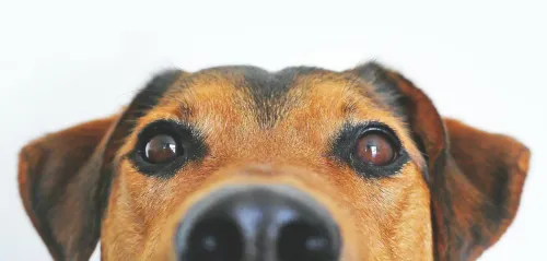 Garner Hotel Berlin - Mitte, an IHG Hotel Photos