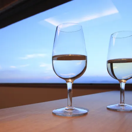 Awaji International Hotel the Sunplaza