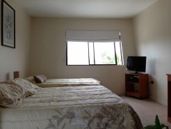Hotel Blanco Encalada