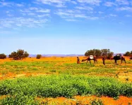 M'Hamid Desert Camp Tours Hotel a Mhamid