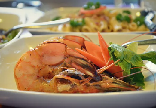 The Elephant Stables