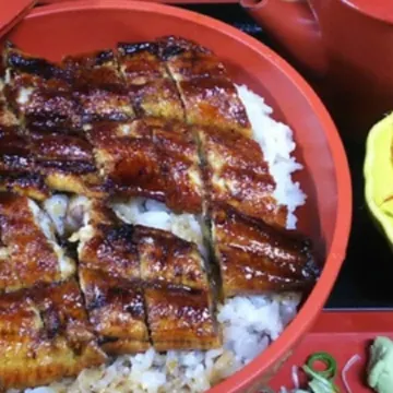 Guest House Gifuhashima Cocone - Hostel