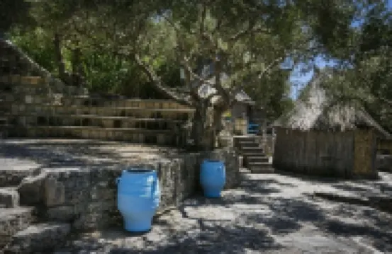 Metaxatos Apartments