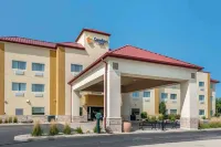 Comfort Inn