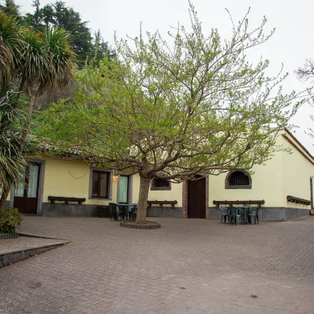 L'Antica Vigna