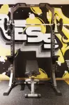 コンフォート ホテル エクスプレス ユングストルゲット - ジム