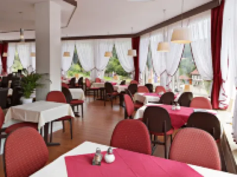Hotel-Restaurant Konditorei-Café Ketterer am Kurgarten Hotels in Triberg
