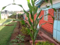 Summary Guest House Hotels in Kitale