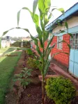 Summary Guest House Hotels near KITALE MUSEUM