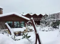 Agva Himalaya Motel Hotels in 