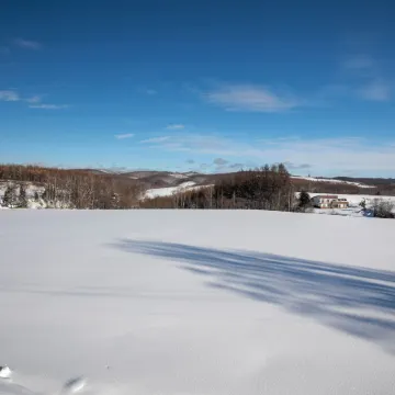 Starry Sky Cottage12