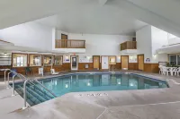 Quality Inn & Suites Belmont Route 151 - piscine