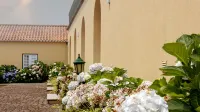 Quinta da Nasce Água - Apartments