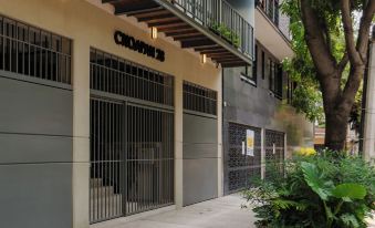 Choapan 28 - Lux Apartments in Condesa