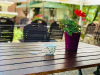 Rheinischer Hof Hotels in Pfungstadt