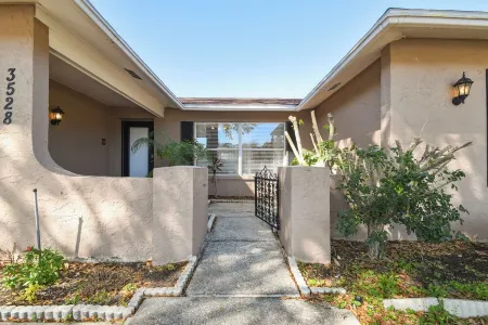 Heated pool. 3-bedroom house in Palm Harbor
