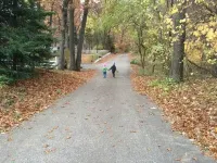 Walk to Lake Michigan Beach from Cottage in the Woods - *Seaside Fired Smores*