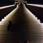 Cozy apartment near the sea, beach and dunes. Have a nice holiday! Hotels in Petten