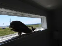 Seaside Nest on Private Waterfront