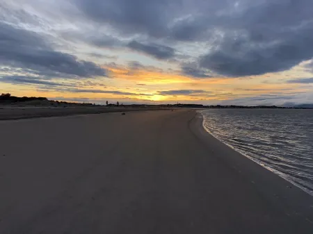 Unplug and reconnect at a kiwiana bach - 2020 finalist Bach of the year awards