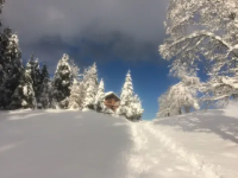 Lovingly furnished apartment - you will feel at home with us Hotel di Hohenems