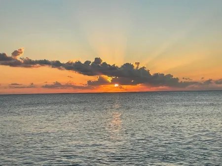 Country Road, Take me Home- your own Island Cottage! Отели в г. Savannah