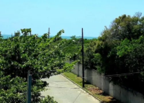 Apartment on the beach in Palmas do arvoredo 200 m from the beach