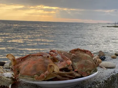 Tiny House at St. George Island