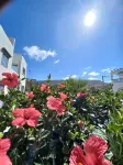 Town house in Aglou Plage "chez Laurent": Ocean and Mountain Hotel a Tiznit Province