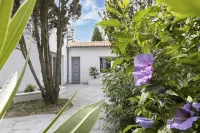 Large villa with pool in Charente-Maritime