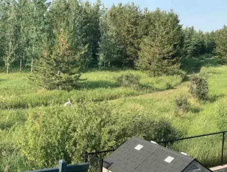 3 Bedroom Stylish Townhouse in a quite neighbourhood within town Отели в г. Досон-Крик