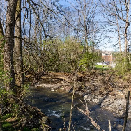 Creekside Getaway - Close to DT & Lake